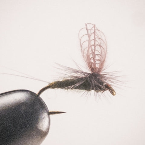 CDC Baetis Parachute #18-20