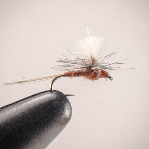 CDC Biot Rusty Para Spinner #16-18