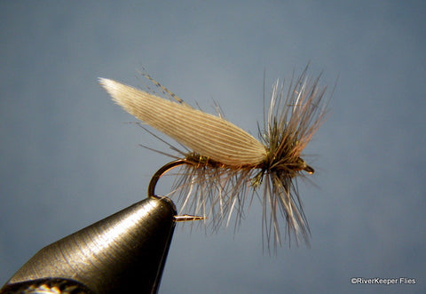 Hemingway Caddis #16-#18