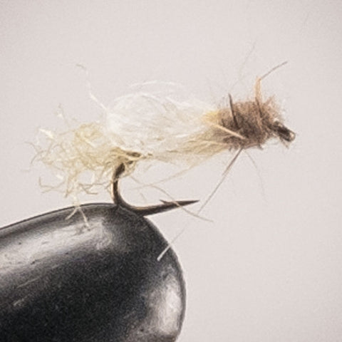 Iris Micro Caddis Yellow #20