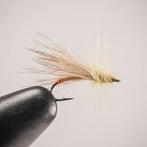 Yellow Sally #16-18